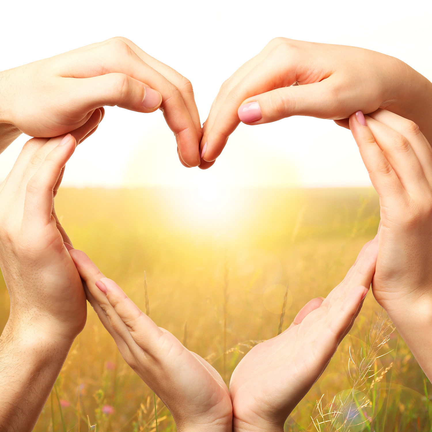 Heart shaped by hands on nature background